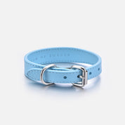 Dunblauw Hondenhalsband Dun