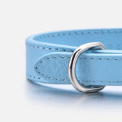 Dunblauw Hondenhalsband Dun