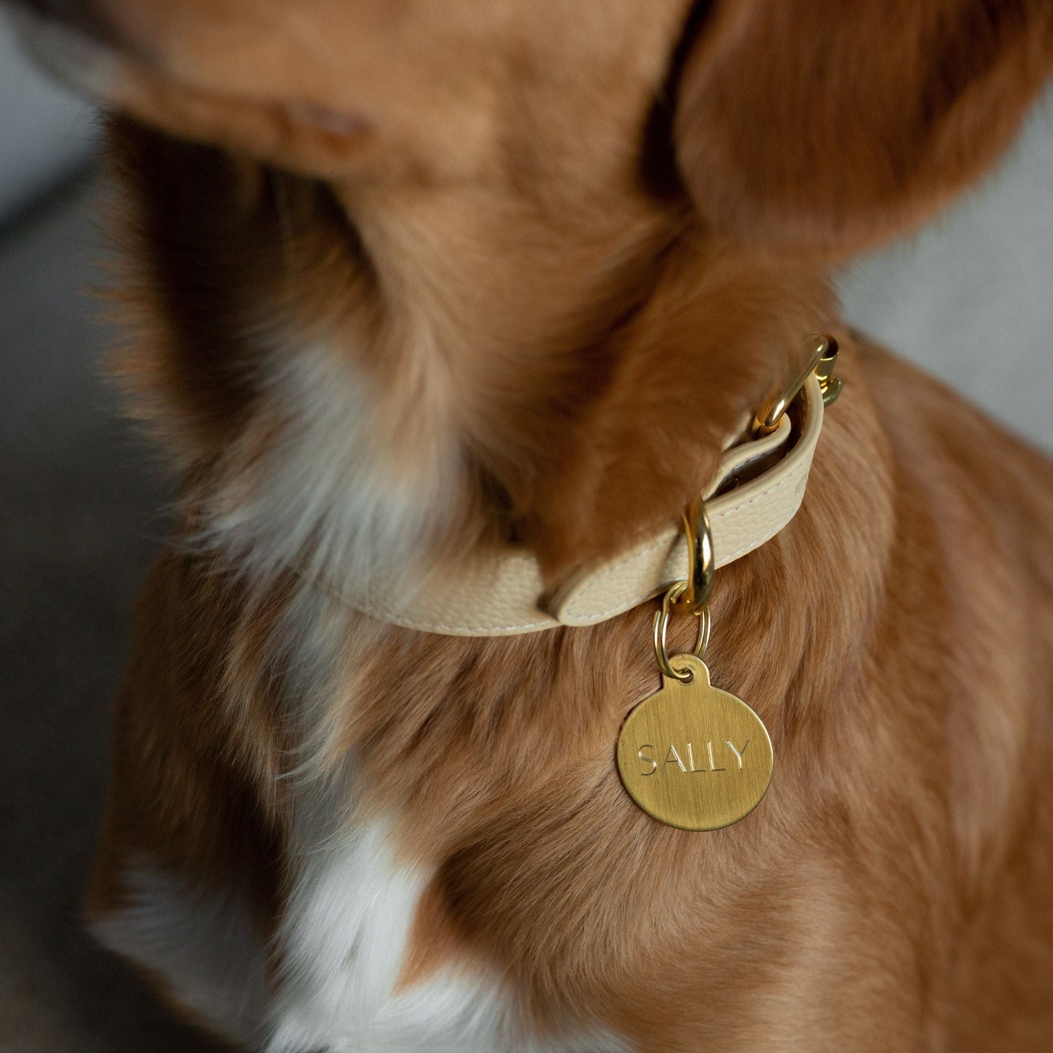Dunne Beige Hondenhalsband