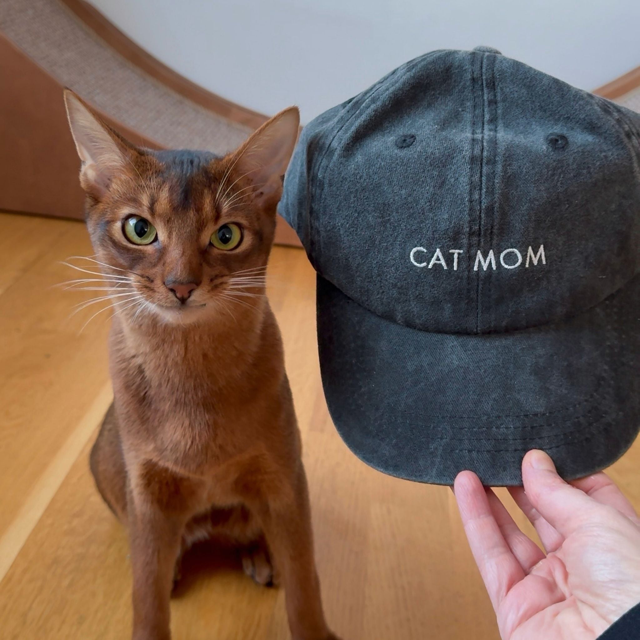 Zwarte Denim Pet - Kattenmoeder 