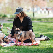 Zwarte Denim Pet - Dogs Before Dudes