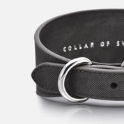 Zwart Denim Hondenhalsband Breed