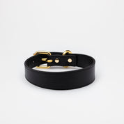 Zwarte Dunne Hondenhalsband