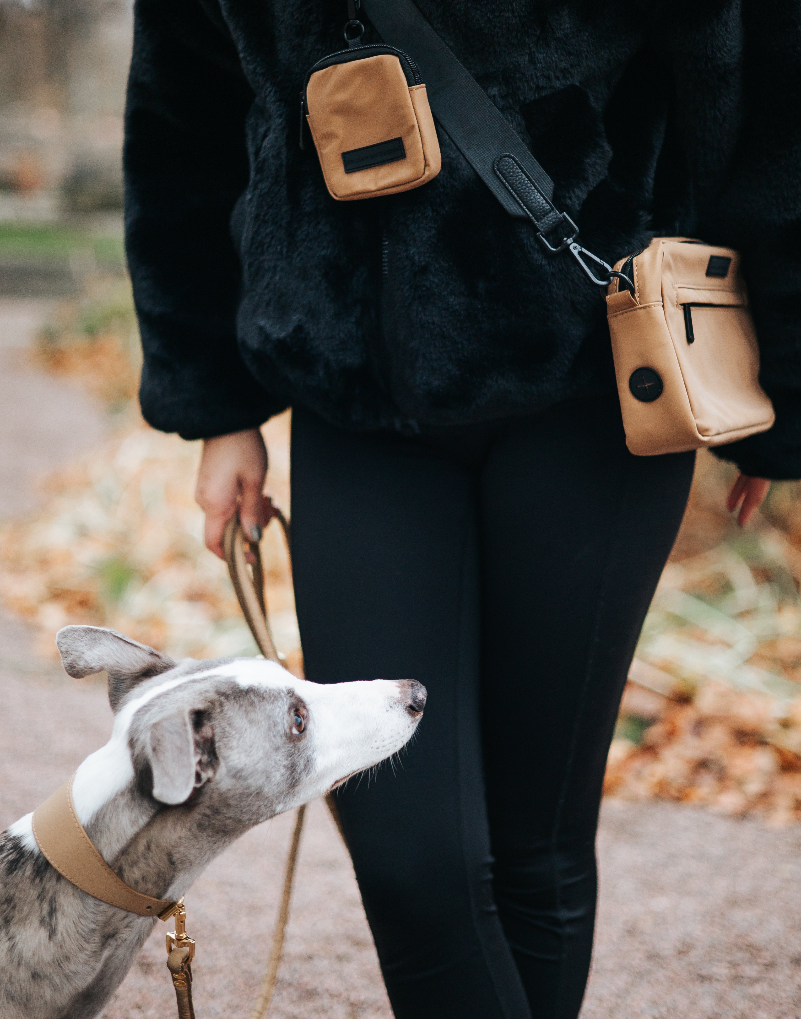 Reflecterende Bronzen Hondenwandel Tas - Crossbody 