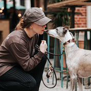 Brown Long Sleeve - Dogs & Wine Make Everything Fine