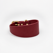 Bordeauxrode Brede Hondenhalsband