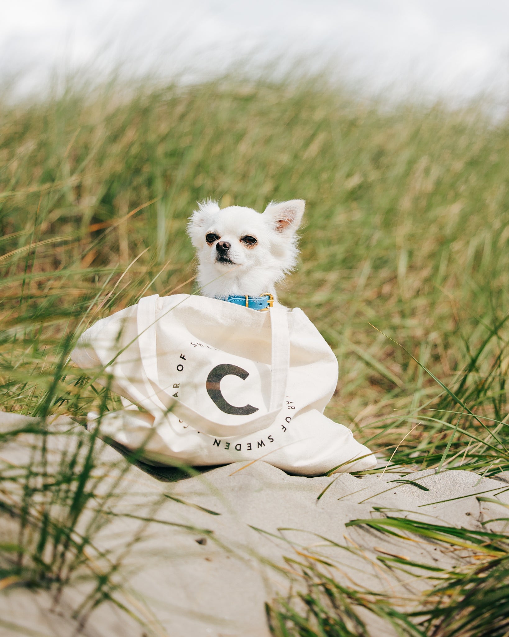 Weekend Tote Bag