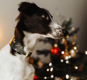 Kerst hondenhalsband breed