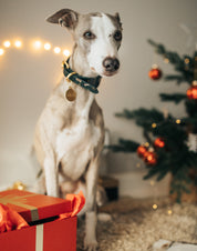 Kerst hondenhalsband breed