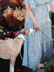 Wolken Hondenhalsband Breed