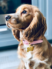 Roze Dunne Hondenhalsband