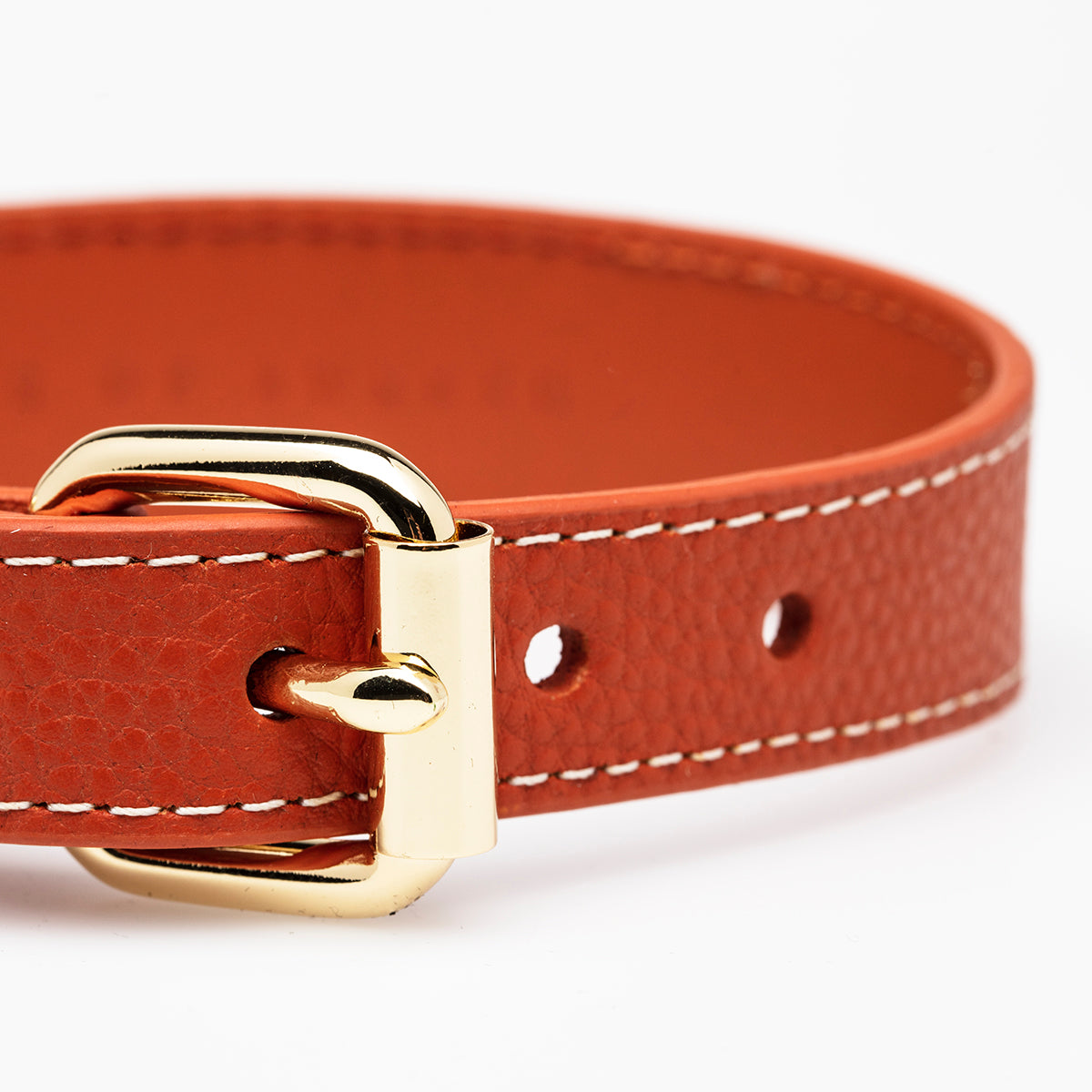 Cognac Hondenhalsband Dun