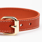 Cognac Hondenhalsband Dun