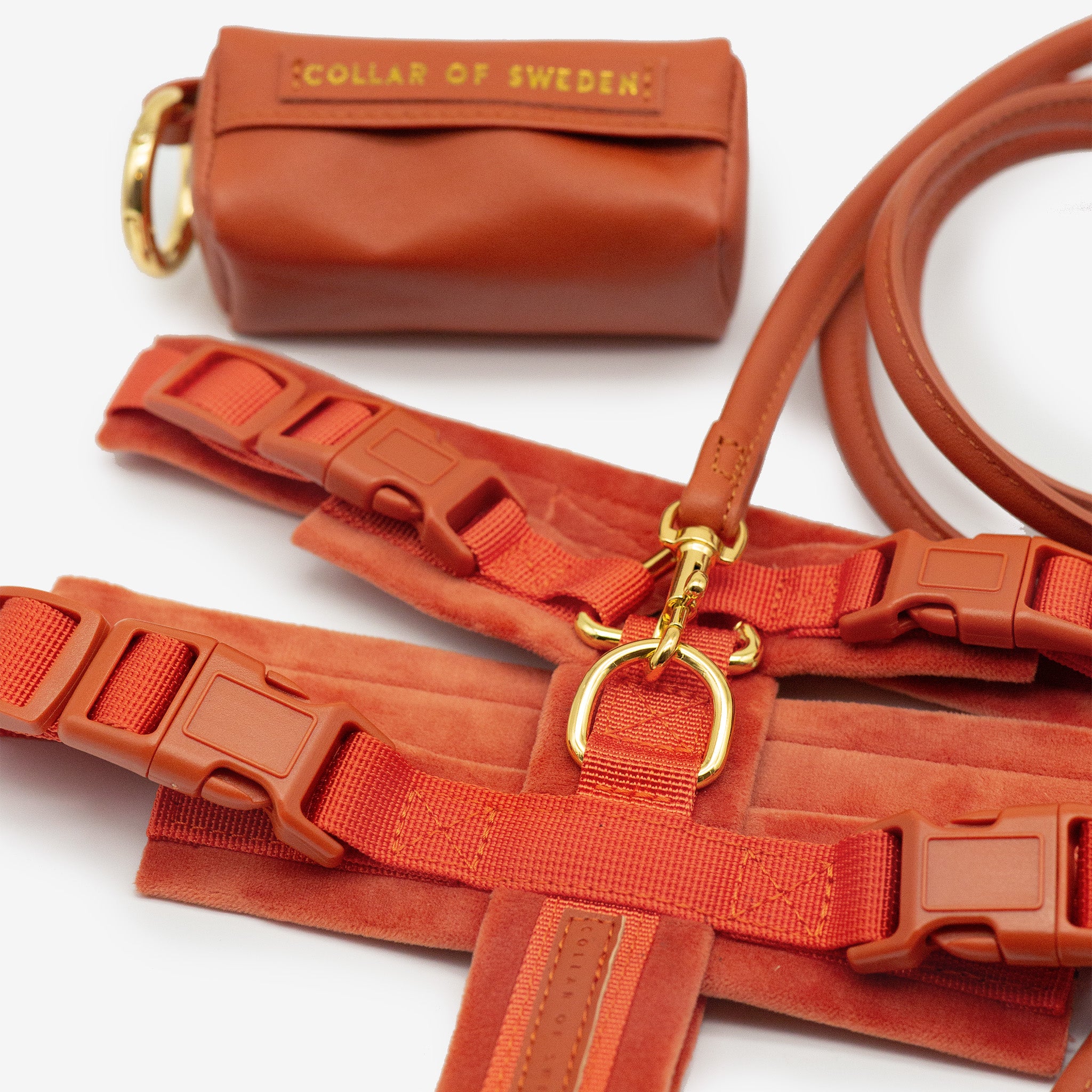 Cognac Y-Harnas XS