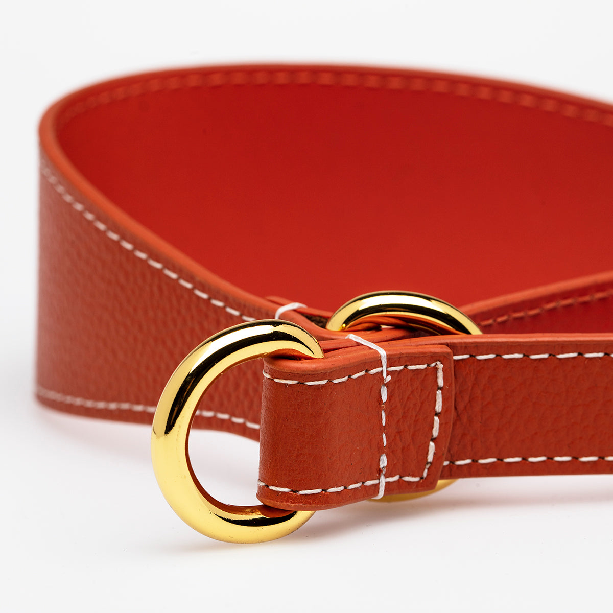 Cognac Honden Martingale Breed