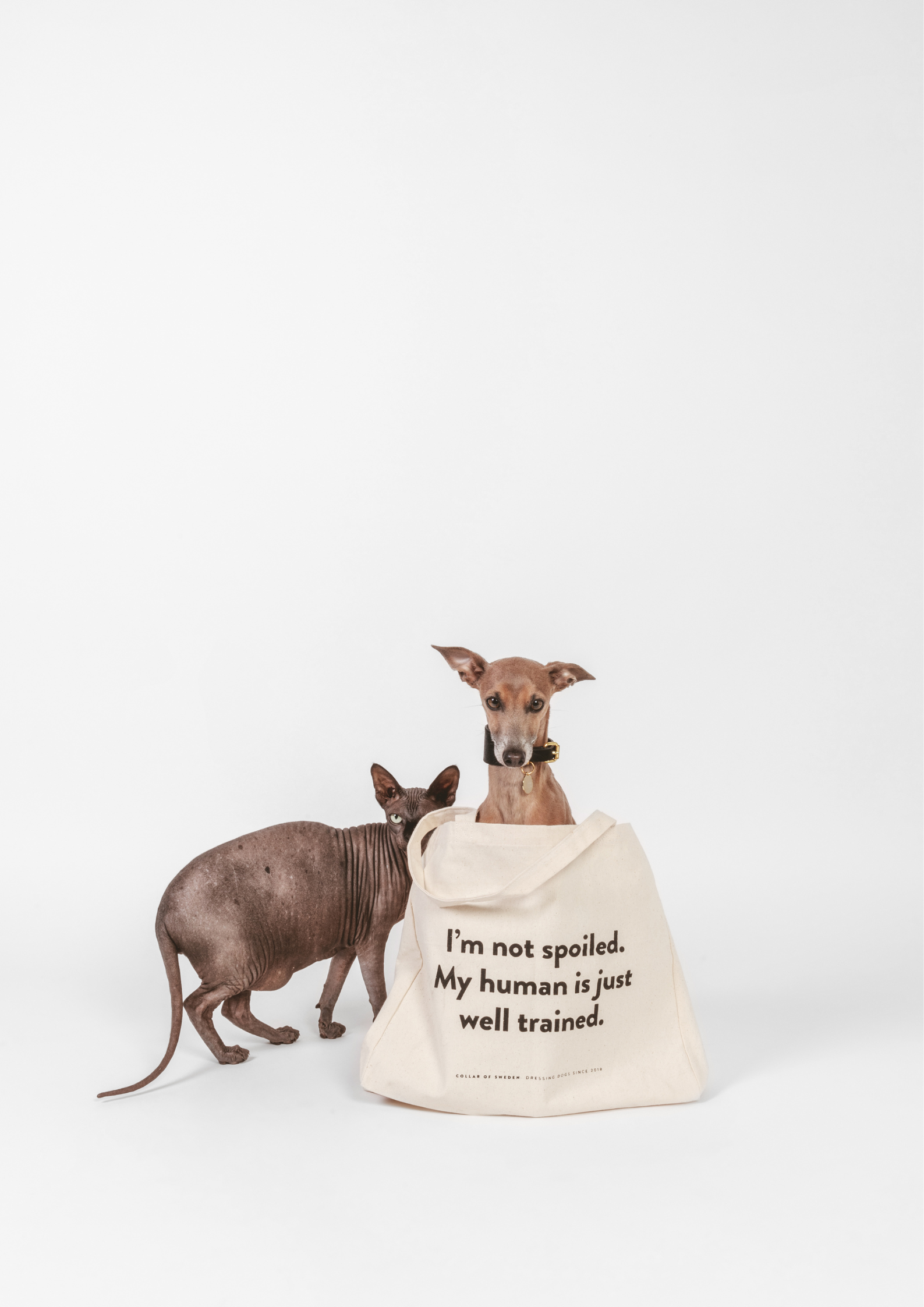 Weekend Tote Bag