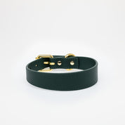 Dunne Donkergroene Hondenhalsband