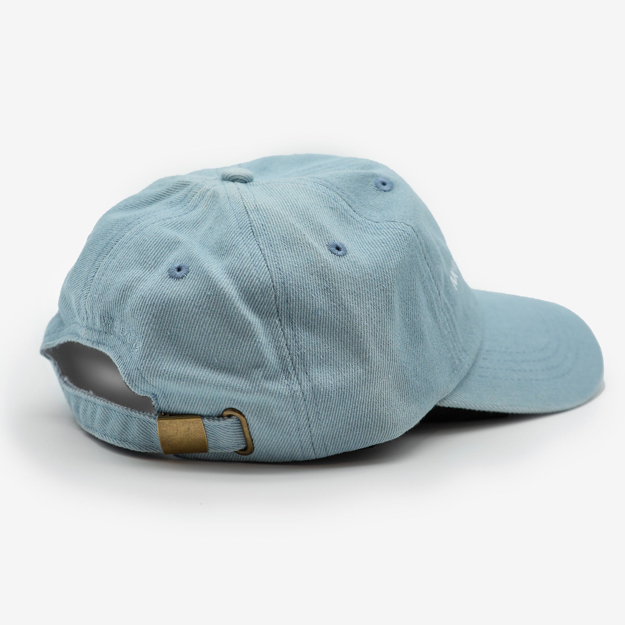 Denim Pet - Anti-Social Dog Owner
