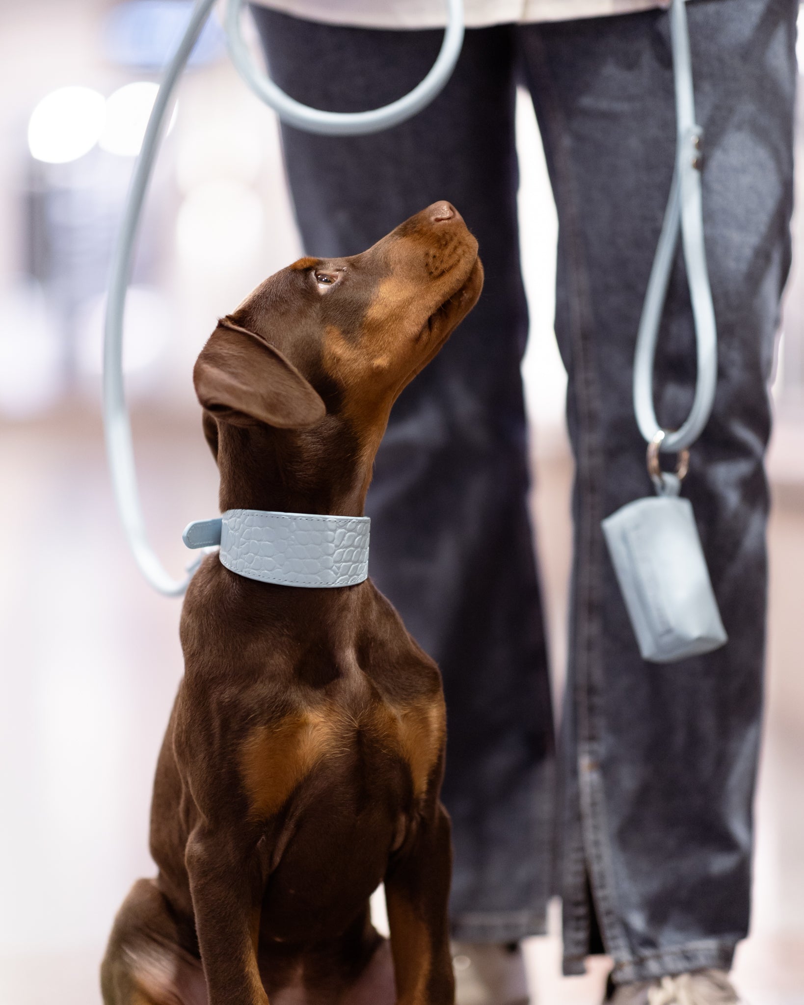 Babyblauwe Poepzakhouder