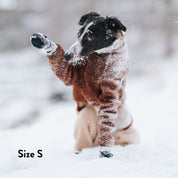 Hondensokken - 4 stuks