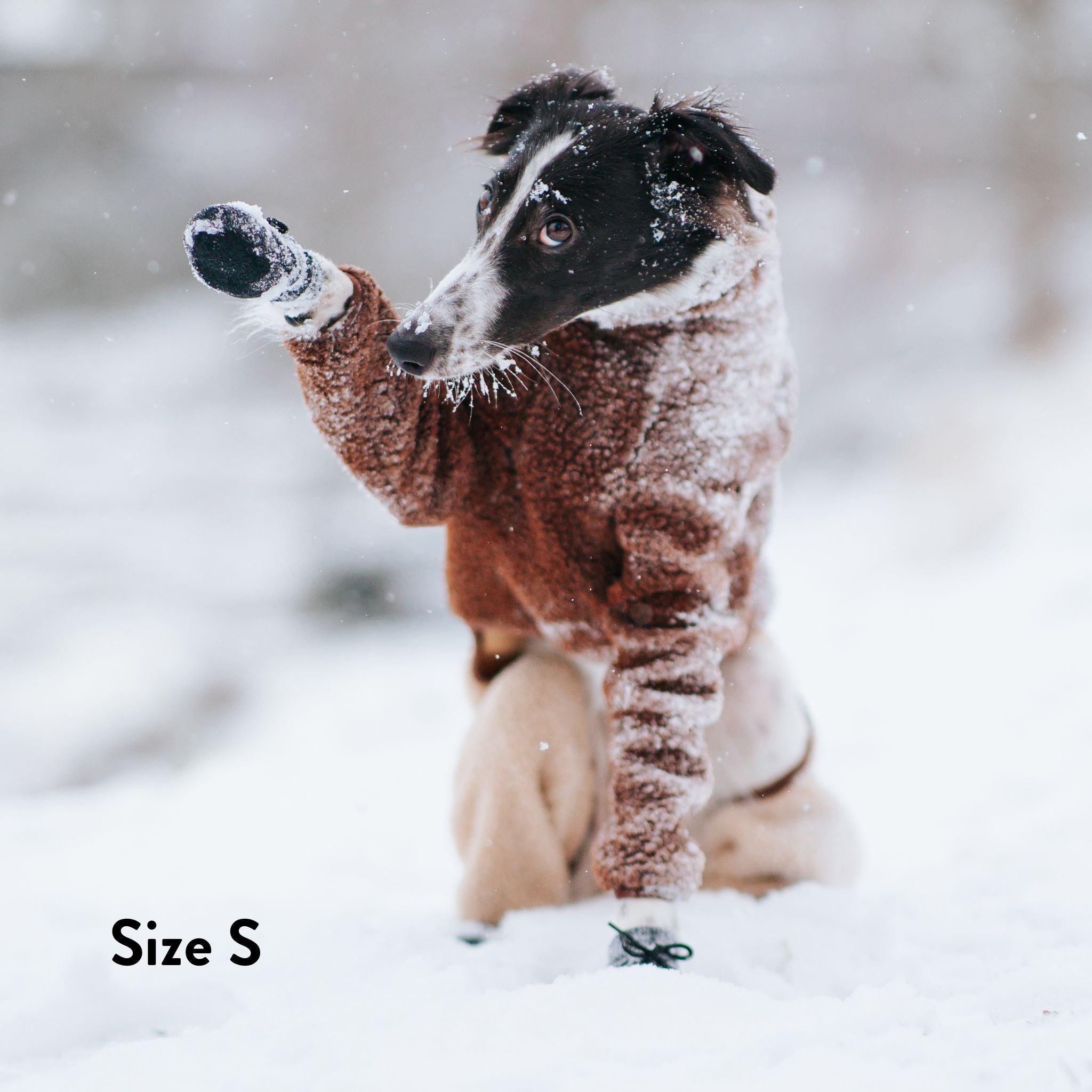 Hondensokken - 4 stuks