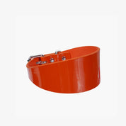 Glanzende Oranje Hondenhalsband Breed