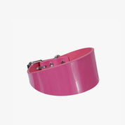 Glanzende Roze Hondenhalsband Breed