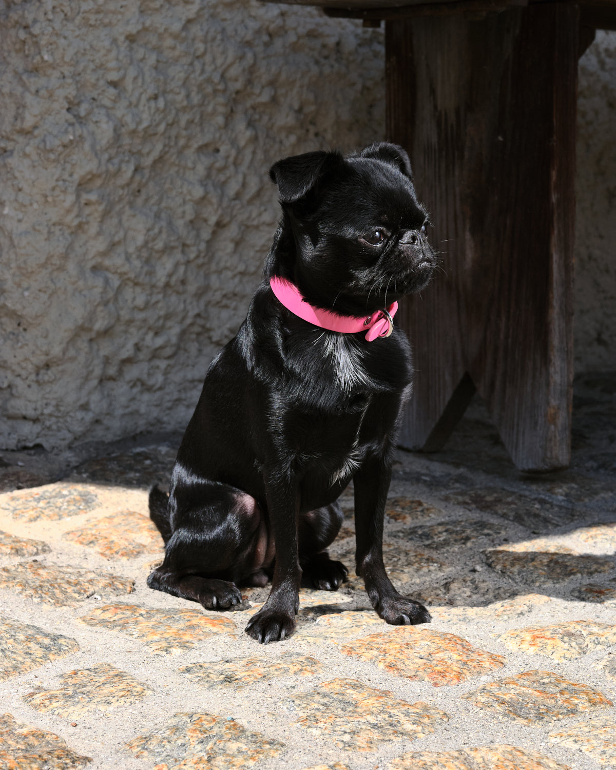 Glanzende Roze Dunne Hondenhalsband
