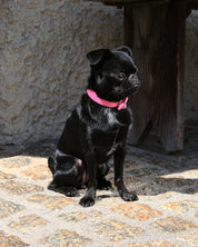 Glanzende Roze Dunne Hondenhalsband