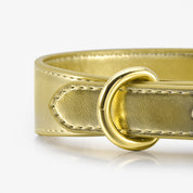 Gouden Metalen Hondenhalsband Dun