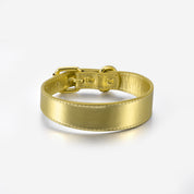 Gouden Metalen Hondenhalsband Dun