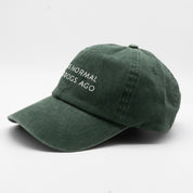 Green Denim Cap - I Was Normal Two Dogs Ago