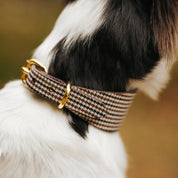 Beige Houndstooth Hondenhalsband Breed