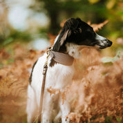 Beige Houndstooth Hondenhalsband Breed