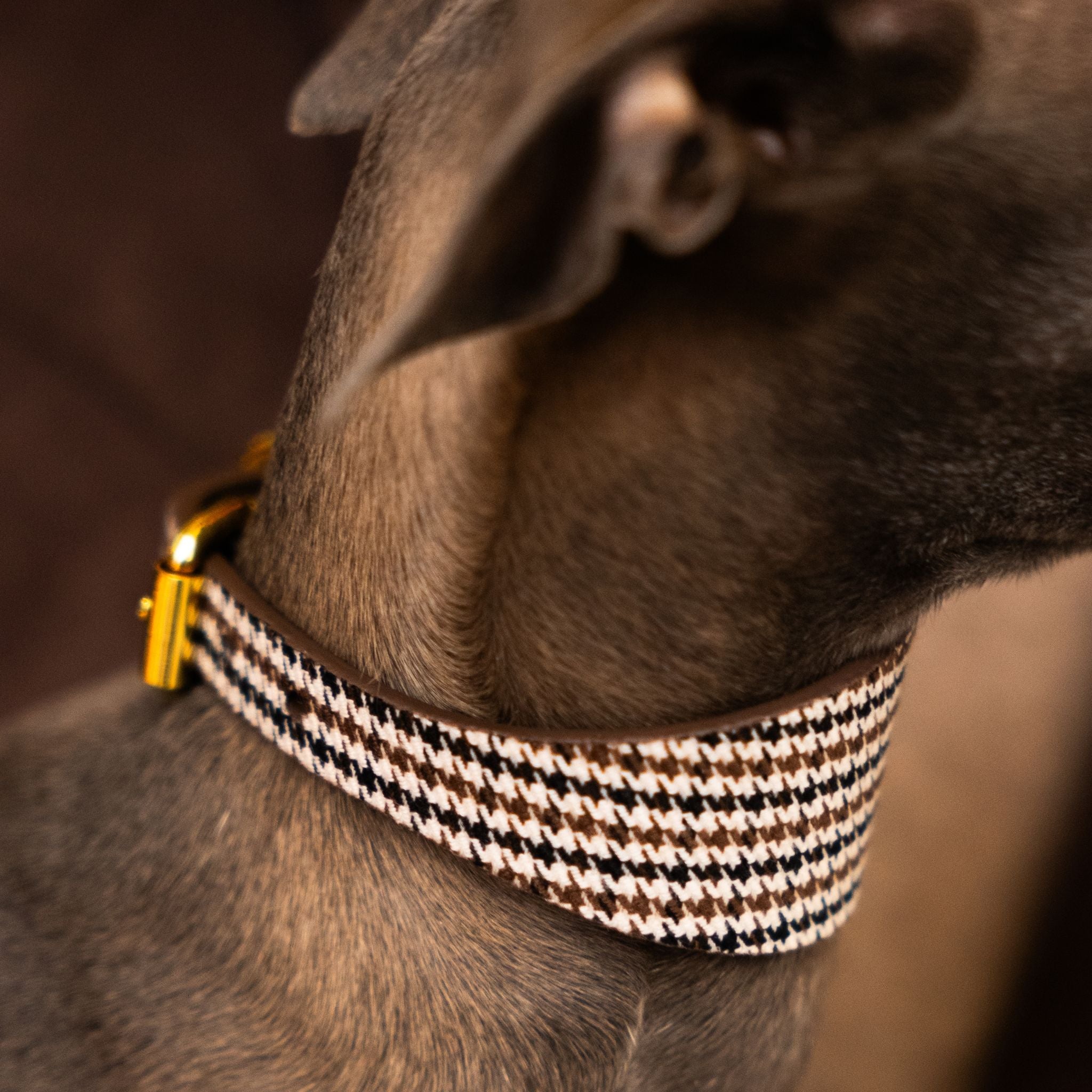 Beige Houndstooth Hondenhalsband Breed