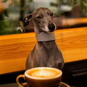 Beige Houndstooth Hondenhalsband Breed