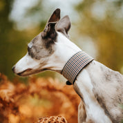 Beige Houndstooth Hondenhalsband Breed