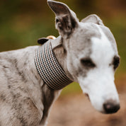 Beige Houndstooth Hondenhalsband Breed