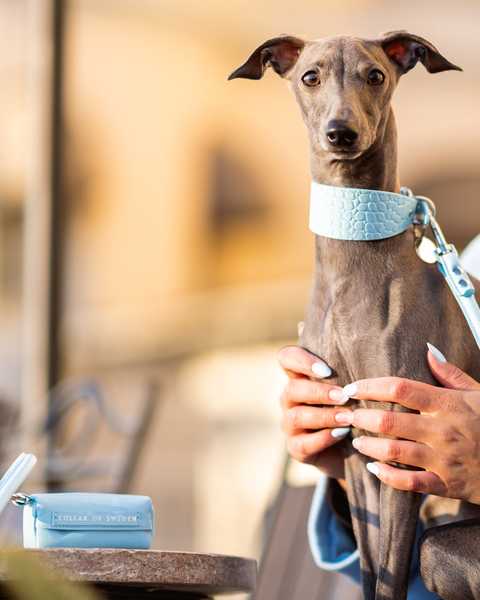 Babyblauwe Poepzakhouder