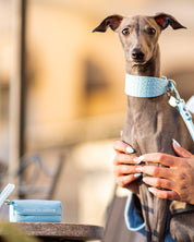 Babyblauwe Poepzakhouder