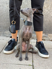 Zwarte Krokodillenhondenhalsband Breed
