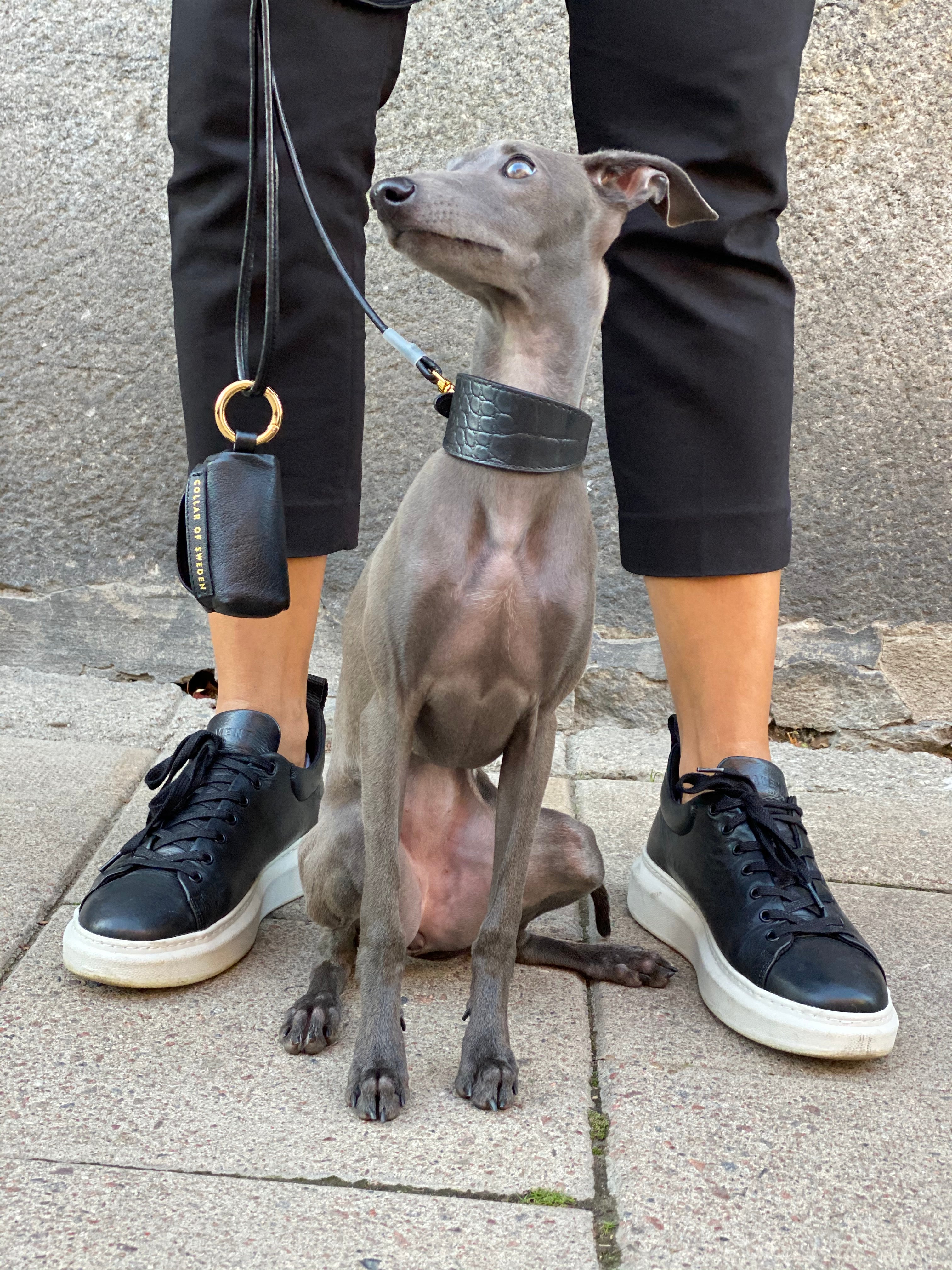 Zwarte Krokodillenhondenhalsband Breed