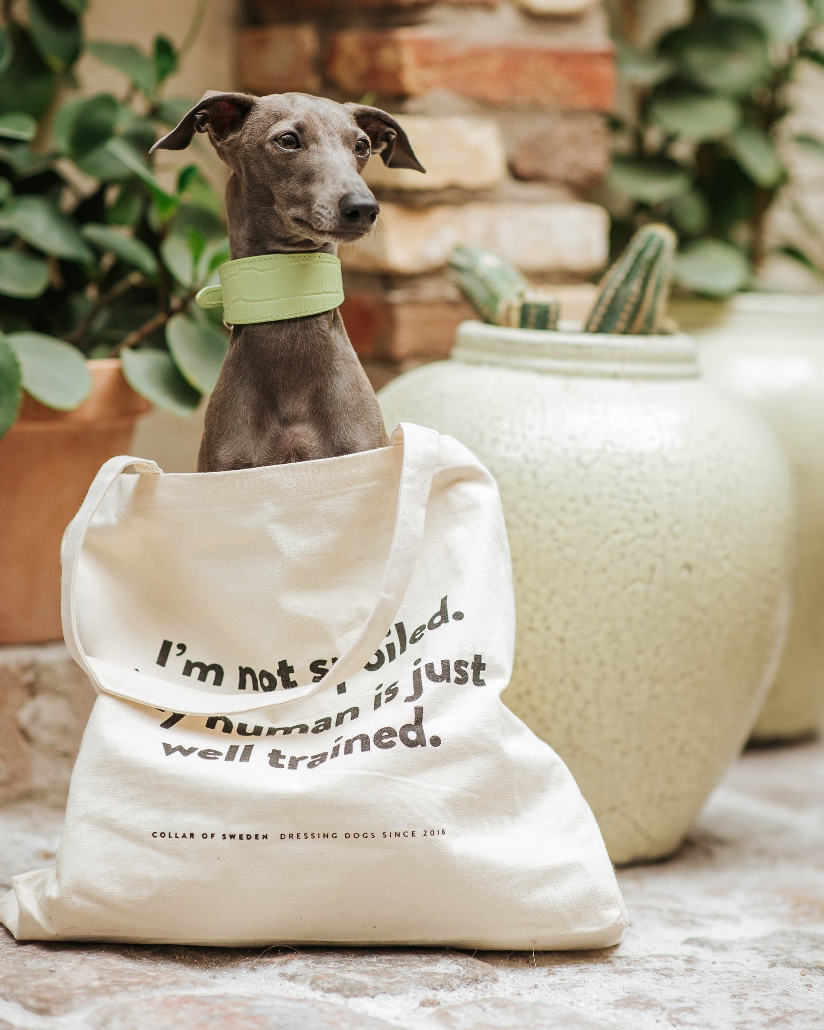 Standaard Tote Bag