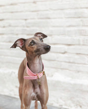 Roze Brede Hondenhalsband