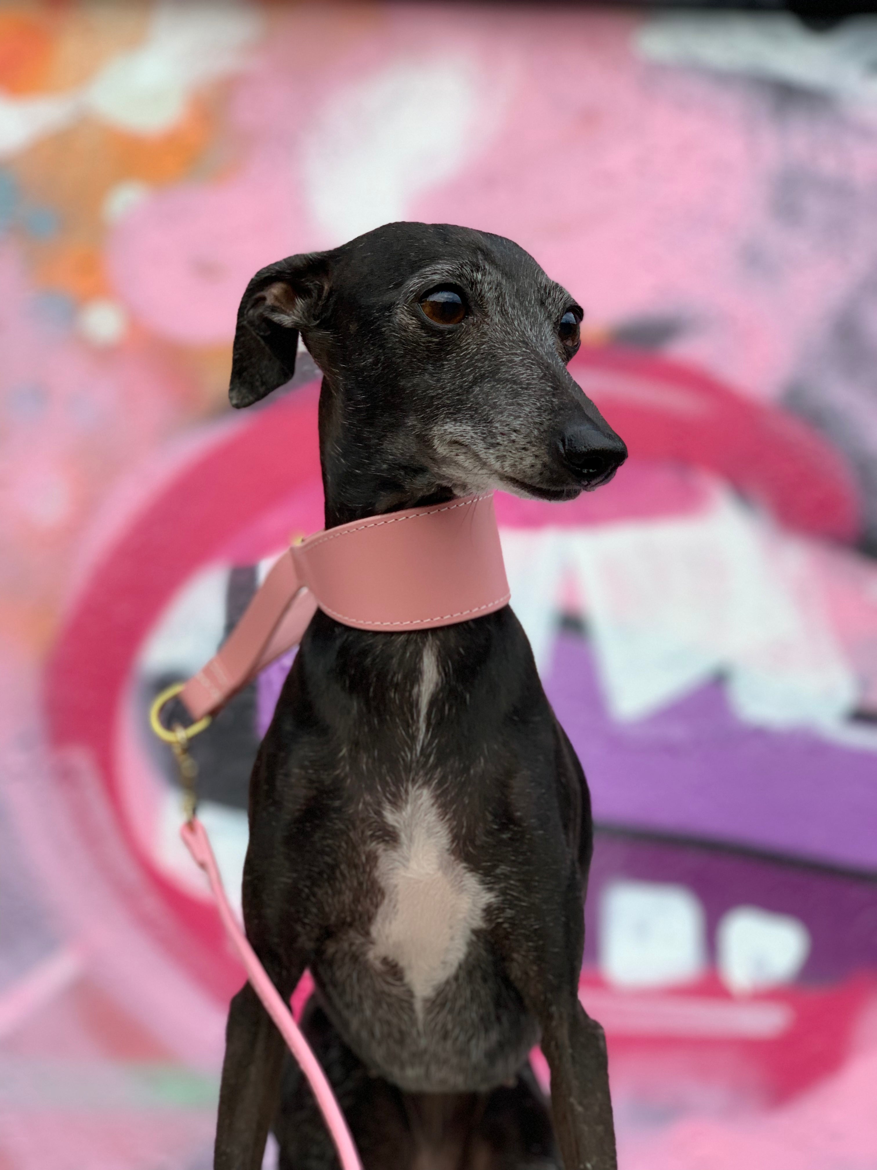 Roze Martingale Halsband voor Honden - Breed