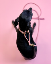 Roze Martingale Halsband voor Honden - Breed