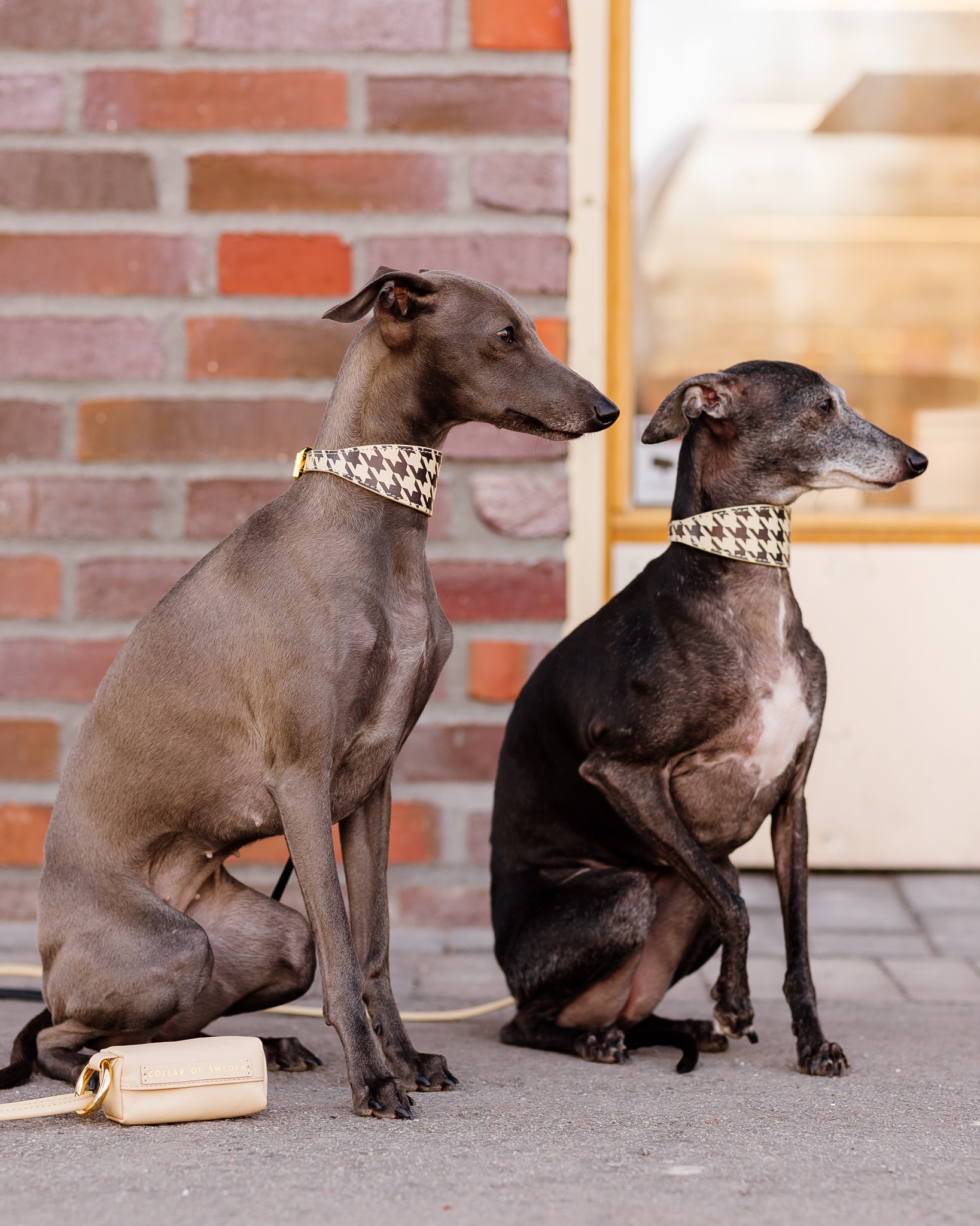 Beige Houndstooth Hondenhalsband Breed