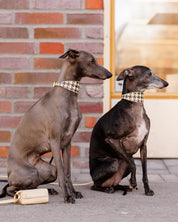 Beige Houndstooth Hondenhalsband Breed