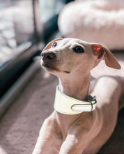 Reflecterende Zilveren Hondenhalsband Breed
