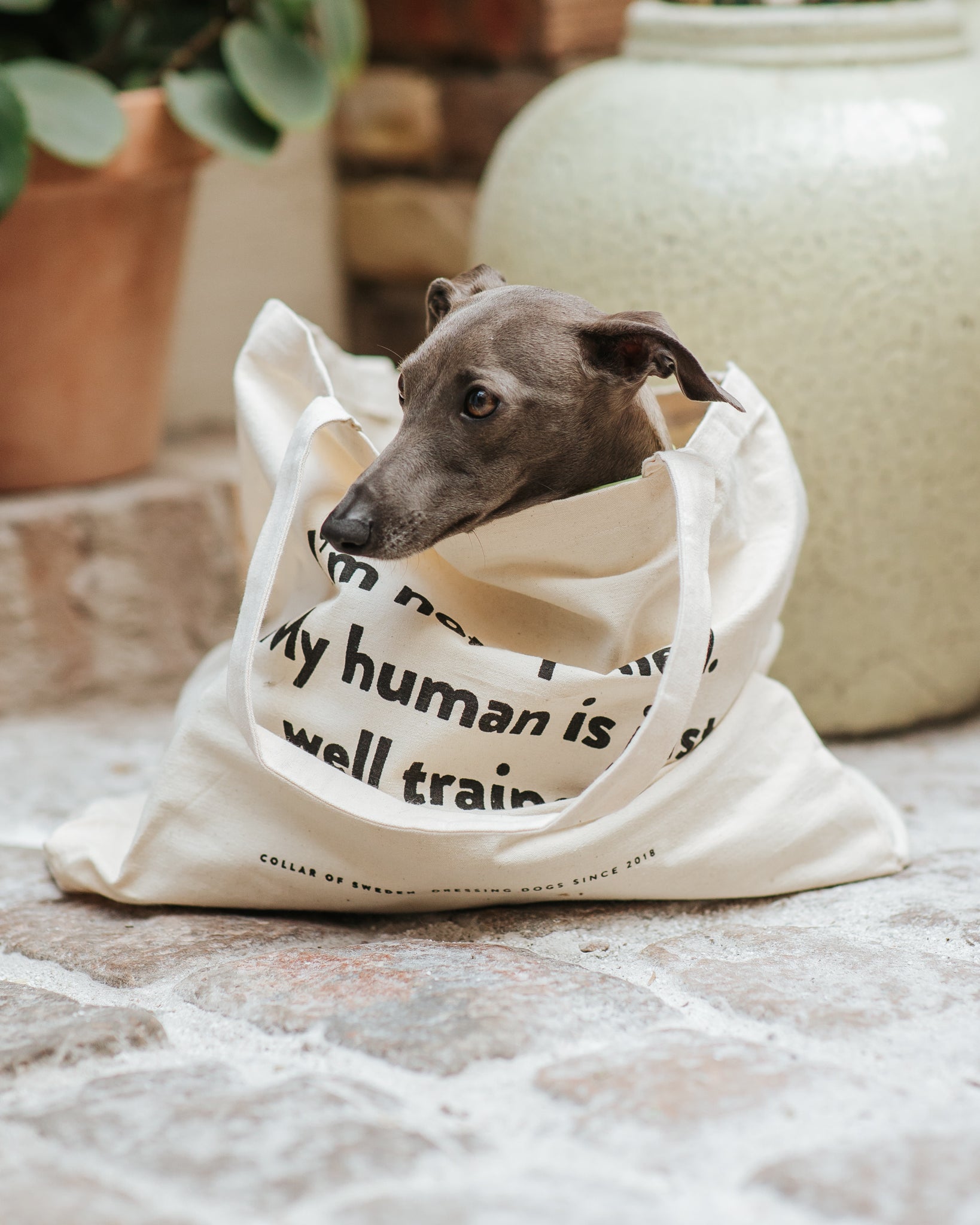 Standaard Tote Bag